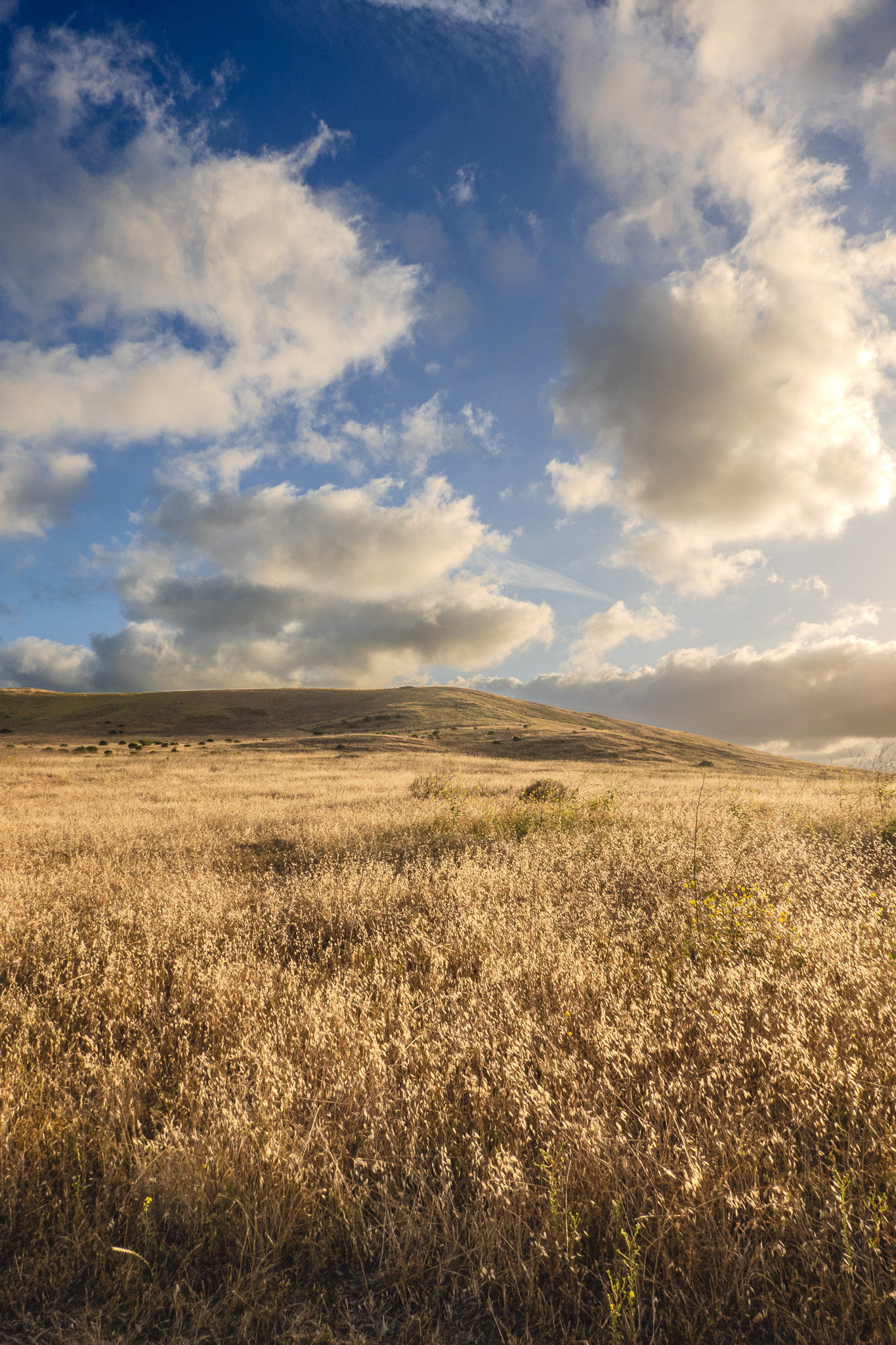 LANDSCAPES image DSC04600-HDR.jpg
